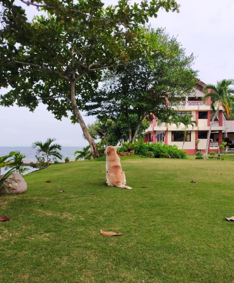 Wuthering Heights Bed & Breakfast By The Sea Dumaguete City Exteriör bild