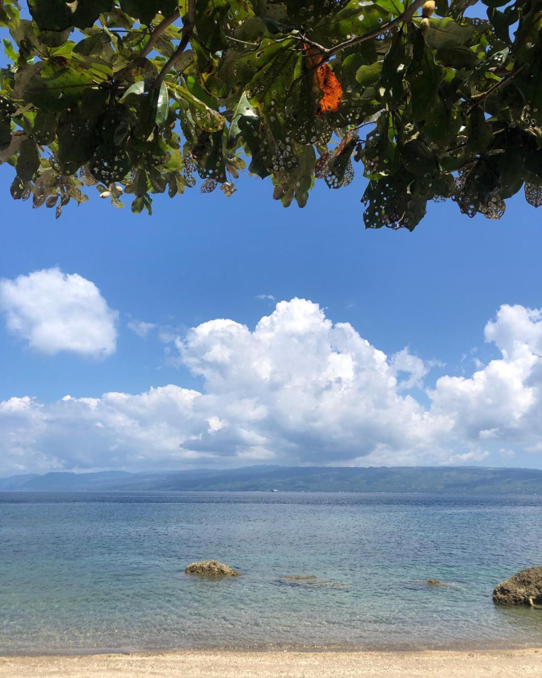 Wuthering Heights Bed & Breakfast By The Sea Dumaguete City Exteriör bild